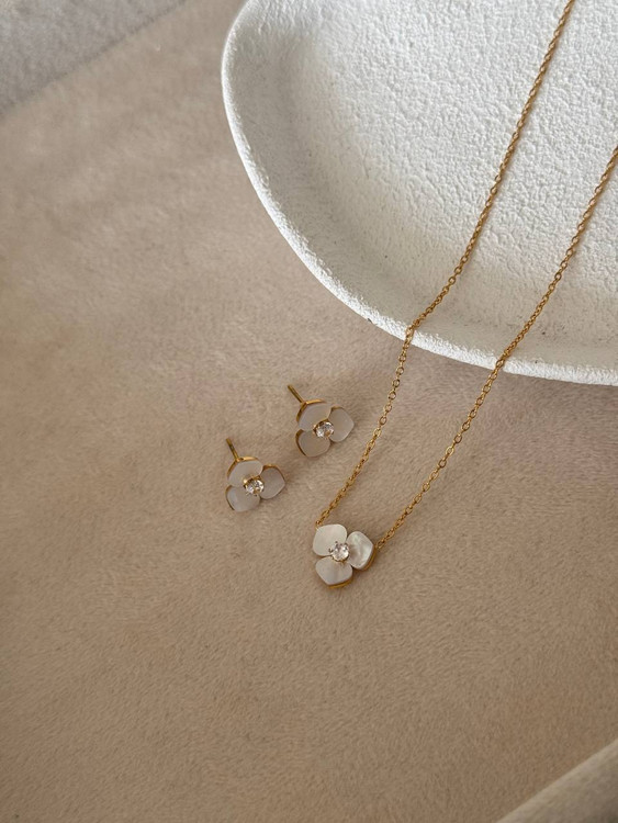 کالکشن : صدف طبیعی