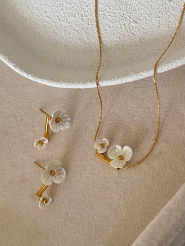 کالکشن : صدف طبیعی