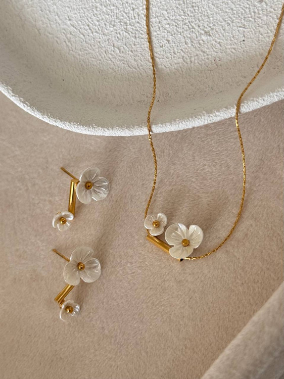 کالکشن : صدف طبیعی