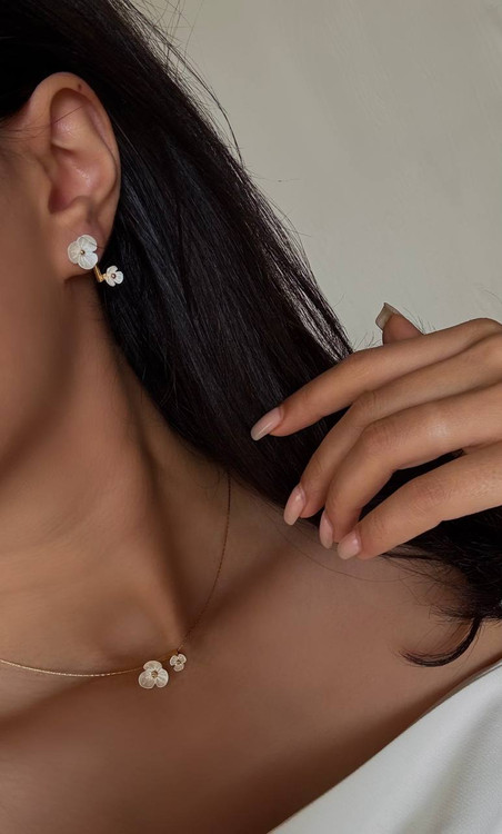 کالکشن : صدف طبیعی