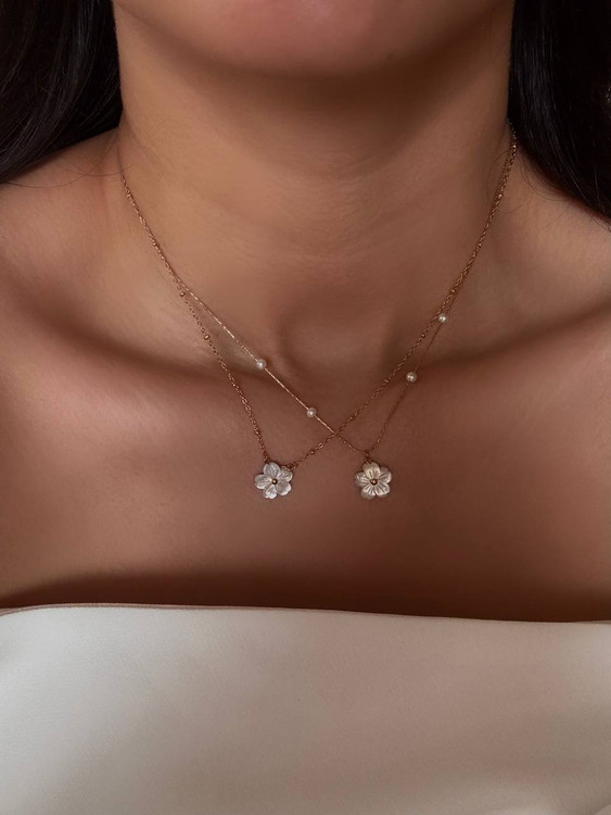 کالکشن : صدف طبیعی