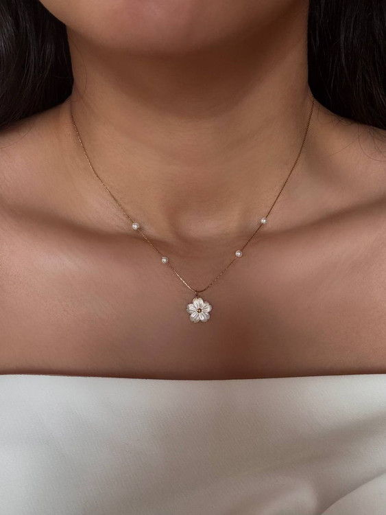 کالکشن : صدف طبیعی