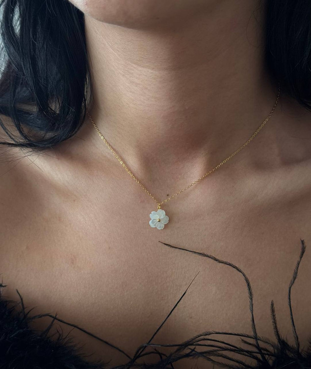 کالکشن : صدف طبیعی