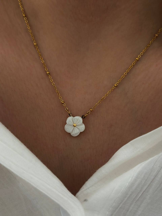 کالکشن : صدف طبیعی