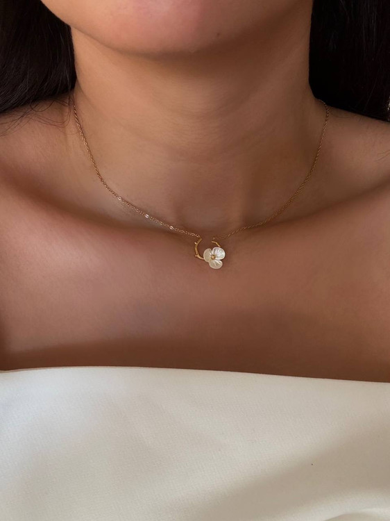 کالکشن : صدف طبیعی