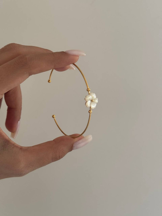 کالکشن : صدف طبیعی