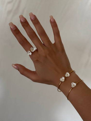 کالکشن : صدف طبیعی