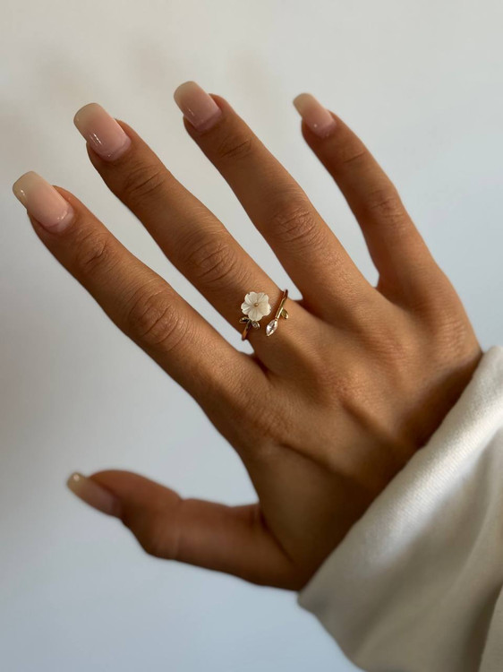 کالکشن : صدف طبیعی