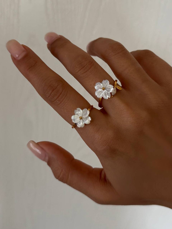 کالکشن : صدف طبیعی